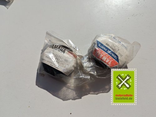 PXL_20240523_152352369